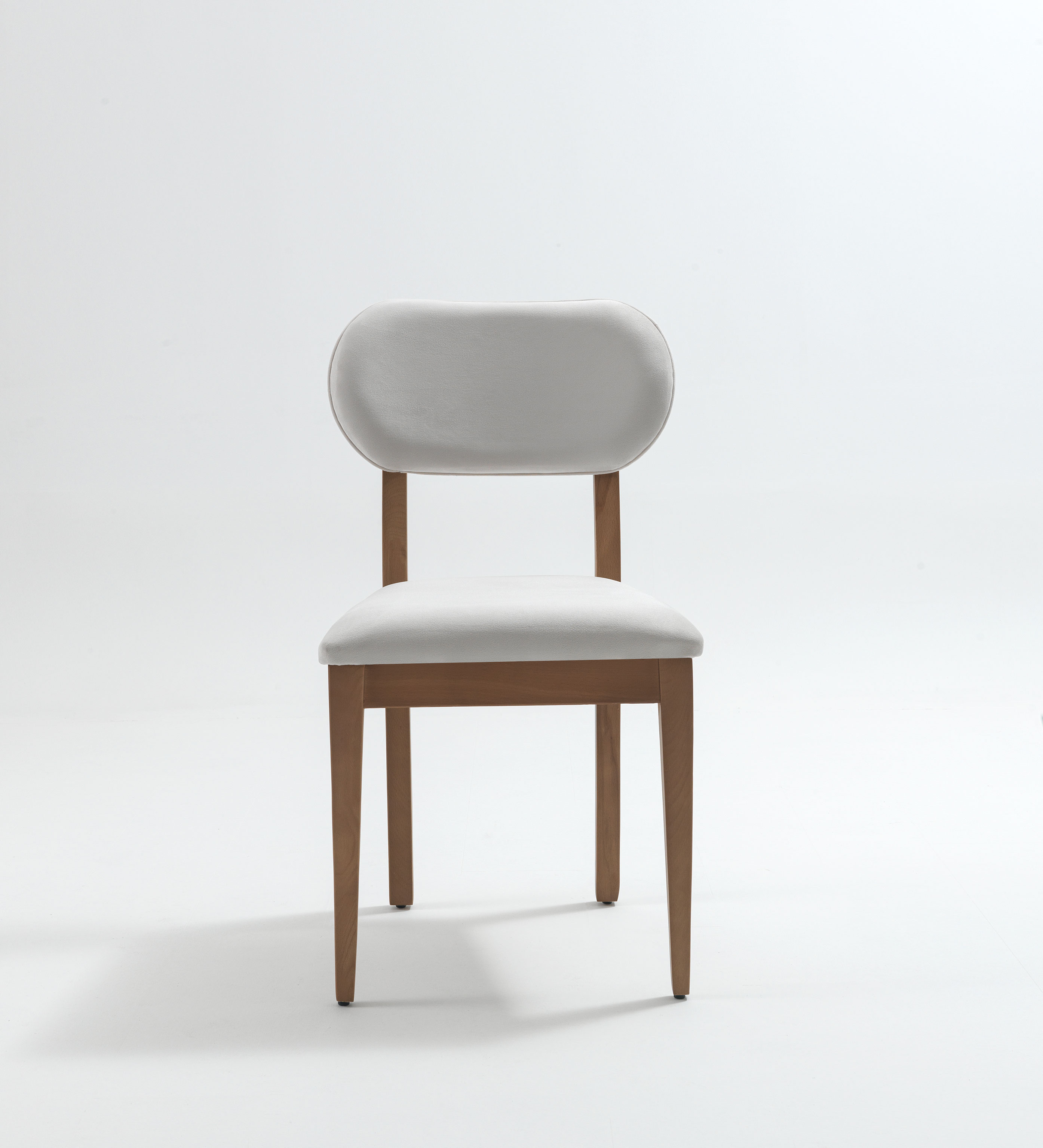 Öncü model